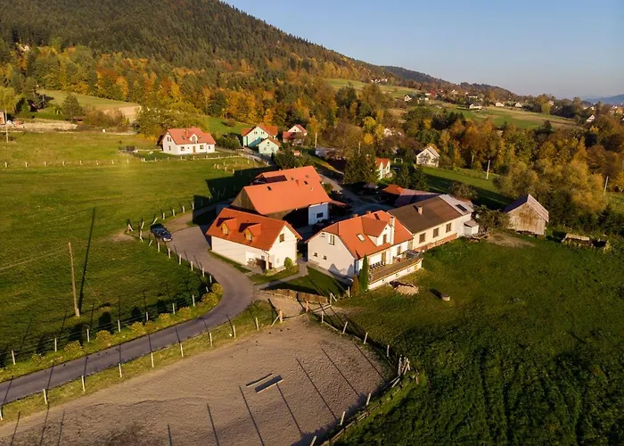 Lesna לימנובה